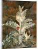 A Thistle by John Crome