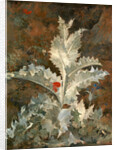 A Thistle by John Crome