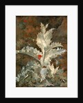 A Thistle by John Crome