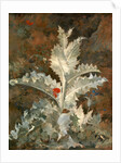 A Thistle by John Crome