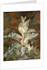 A Thistle by John Crome