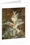 A Thistle by John Crome