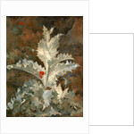 A Thistle by John Crome