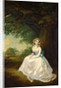 Lady Chambers by Arthur William Devis
