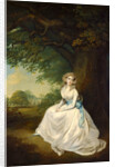 Lady Chambers by Arthur William Devis