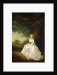 Lady Chambers by Arthur William Devis