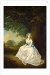 Lady Chambers by Arthur William Devis