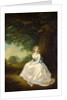 Lady Chambers by Arthur William Devis