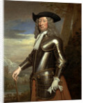 Henry Portman Seymour by Sir Godfrey Kneller