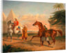 Mameluke purchasing an Arabian stallion by George Henry Laporte