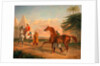Mameluke purchasing an Arabian stallion by George Henry Laporte