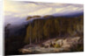The Forest of Valdoniello by Edward Lear