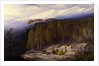 The Forest of Valdoniello by Edward Lear