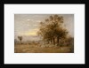 Sheep Grazing by John Linnell