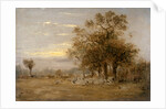 Sheep Grazing by John Linnell