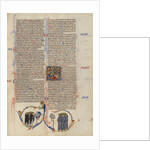 Initial C: The Nativity by Anonymous