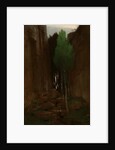 Quell in einer Felsschlucht (Spring in a Narrow Gorge) by Arnold Böcklin