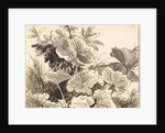 Study of Coltsfoot Leaves by Franz Innocenz Kobell