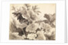 Study of Coltsfoot Leaves by Franz Innocenz Kobell