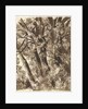 Trunks and Branches by Franz Innocenz Kobell