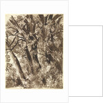 Trunks and Branches by Franz Innocenz Kobell