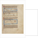 A Boa, A Jaculus, A Siren by Anonymous