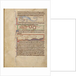 A Seps, A Lizard, A Saura, A Newt by Anonymous