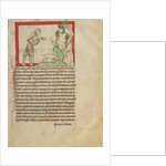 The Prophet Amos by Anonymous