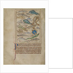 Fish and Sea Monsters by Anonymous