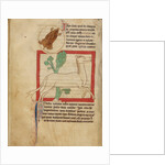 A Mole, A Leucrota by Anonymous