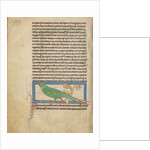 A Parrot by Anonymous