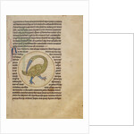 An Alcior by Anonymous