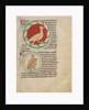 A Hercinia, Partridges by Anonymous