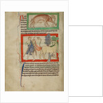 A Wild Boar, A Bonnacon by Anonymous