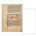 A Manticore by Anonymous