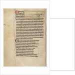 Weasels by Anonymous