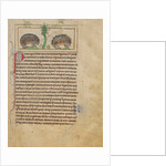 Hedgehogs by Anonymous