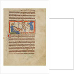 A Unicorn by Anonymous