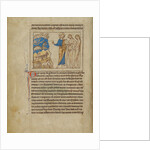 The Creation of the Animals and of Adam and Eve by Anonymous