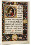 Initial D: Saint John the Baptist by Matteo da Milano