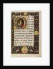 Initial D: Saint John the Baptist by Matteo da Milano