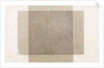 Veil: Engine Ruled Lines, Crossed at Right Angles by William Henry Fox Talbot