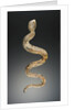 Snake by Anonymous
