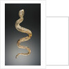 Snake by Anonymous