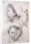 Three Studies of the Head of a Youth by Francesco Salvator Fontebasso