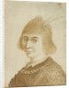 Portrait of a Lady by Jan van de Velde
