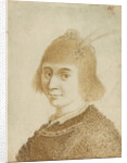 Portrait of a Lady by Jan van de Velde