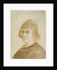 Portrait of a Lady by Jan van de Velde