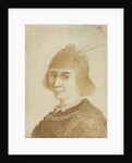 Portrait of a Lady by Jan van de Velde