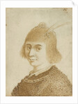 Portrait of a Lady by Jan van de Velde